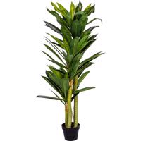 PLANTASIA Műnövény Dracaena 120 cm 81 levél